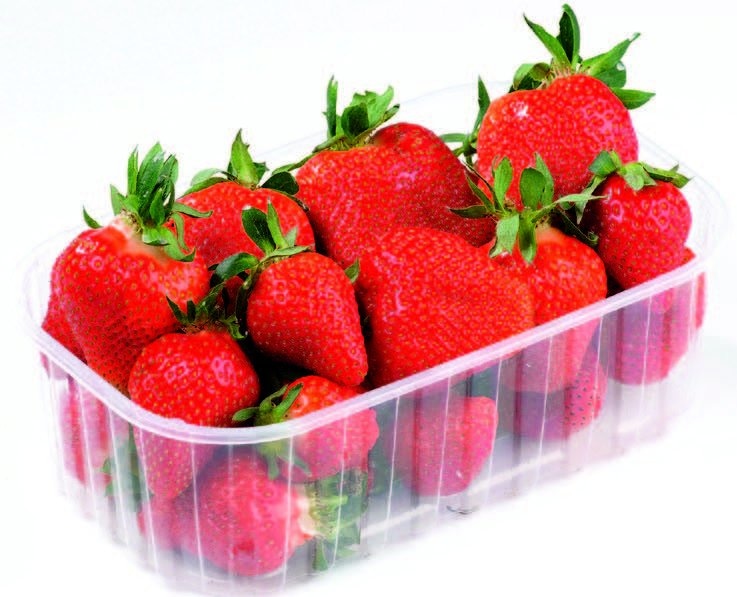 Jagoda 500g - Akcija u trgovini NTL