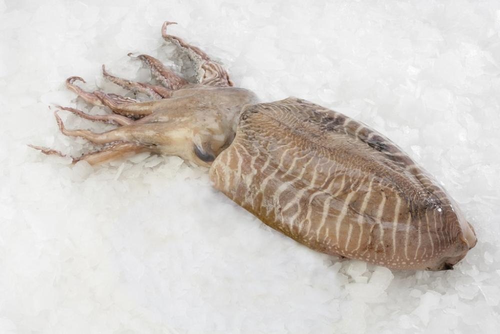 Sipa 1 kg - Akcija u trgovini Spar