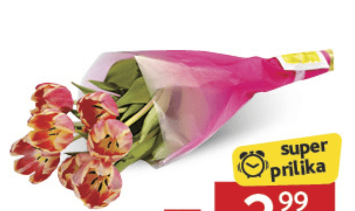 Buket 7 tulipana kom - Akcija u trgovini Konzum