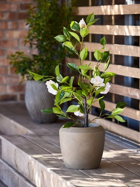 SOLOPGANG umjetna biljka - Akcija u trgovini Jysk