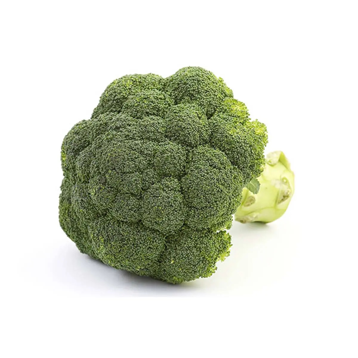 Brokula 1kg - Akcija u trgovini Konzum