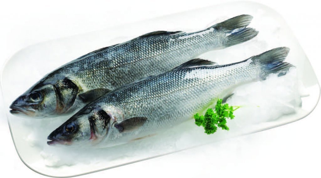 Svježi jadranski brancin 1kg Cromaris - Akcija u trgovini Konzum