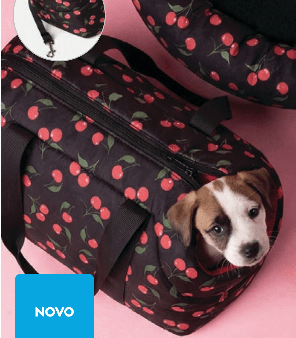 Transporter za kućne ljubimce dimenzije: 50 x 20 x 27 cm - Akcija u trgovini Pepco