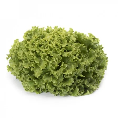 Salata kristal - Akcija u trgovini KTC