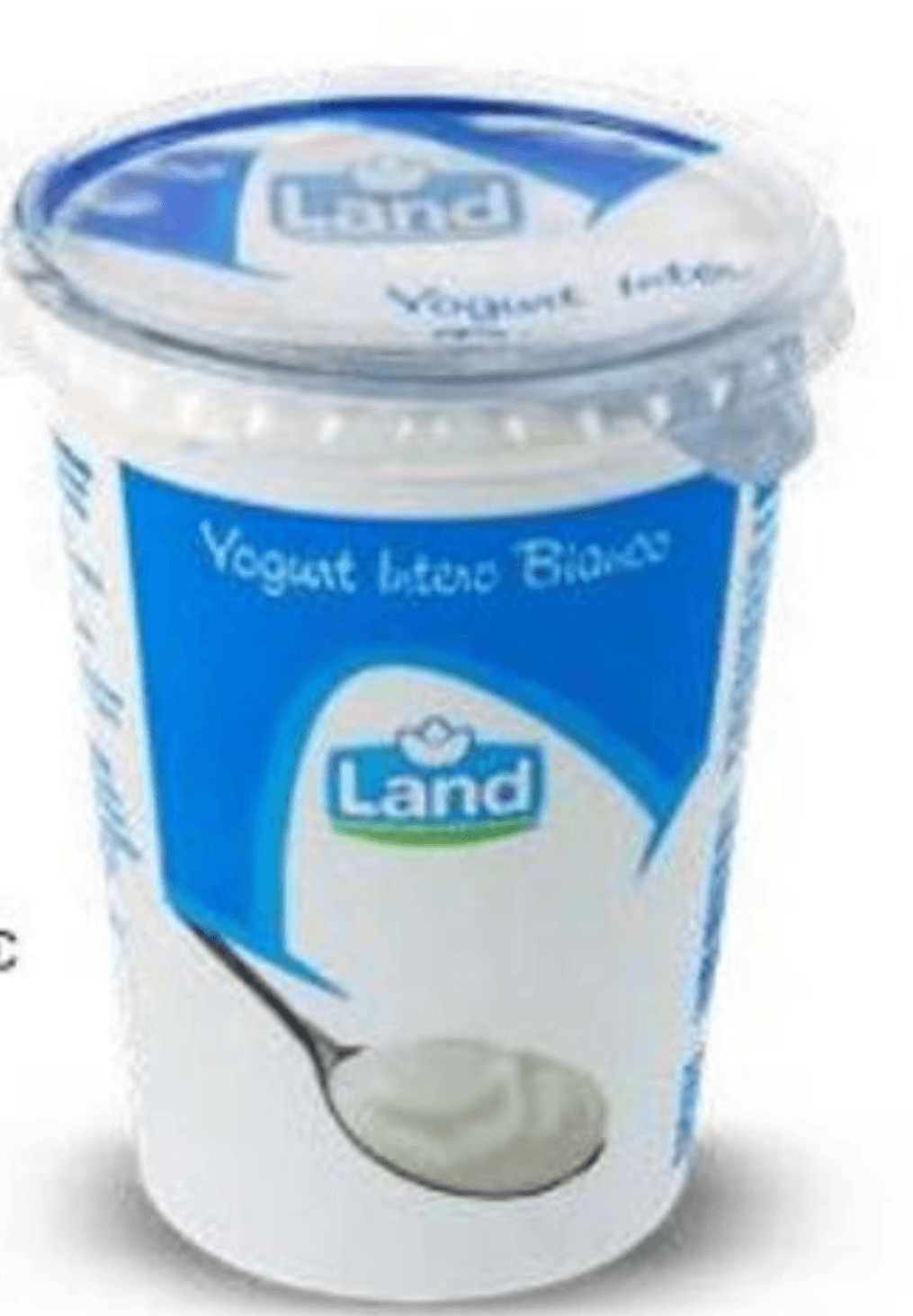 Jogurt obični 500 g Land Akcija u trgovini Eurospin