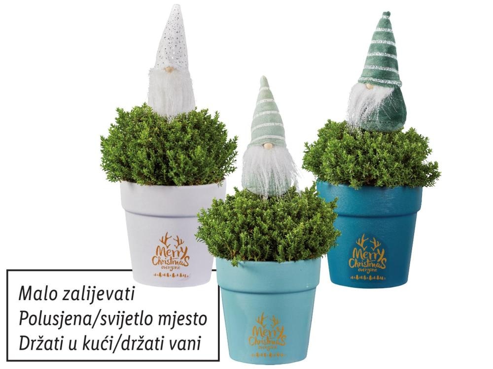 Heba Komad - Akcija u trgovini Lidl