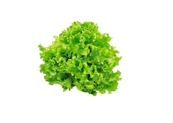 Salata zelena Kristal - Akcija u trgovini Pivac