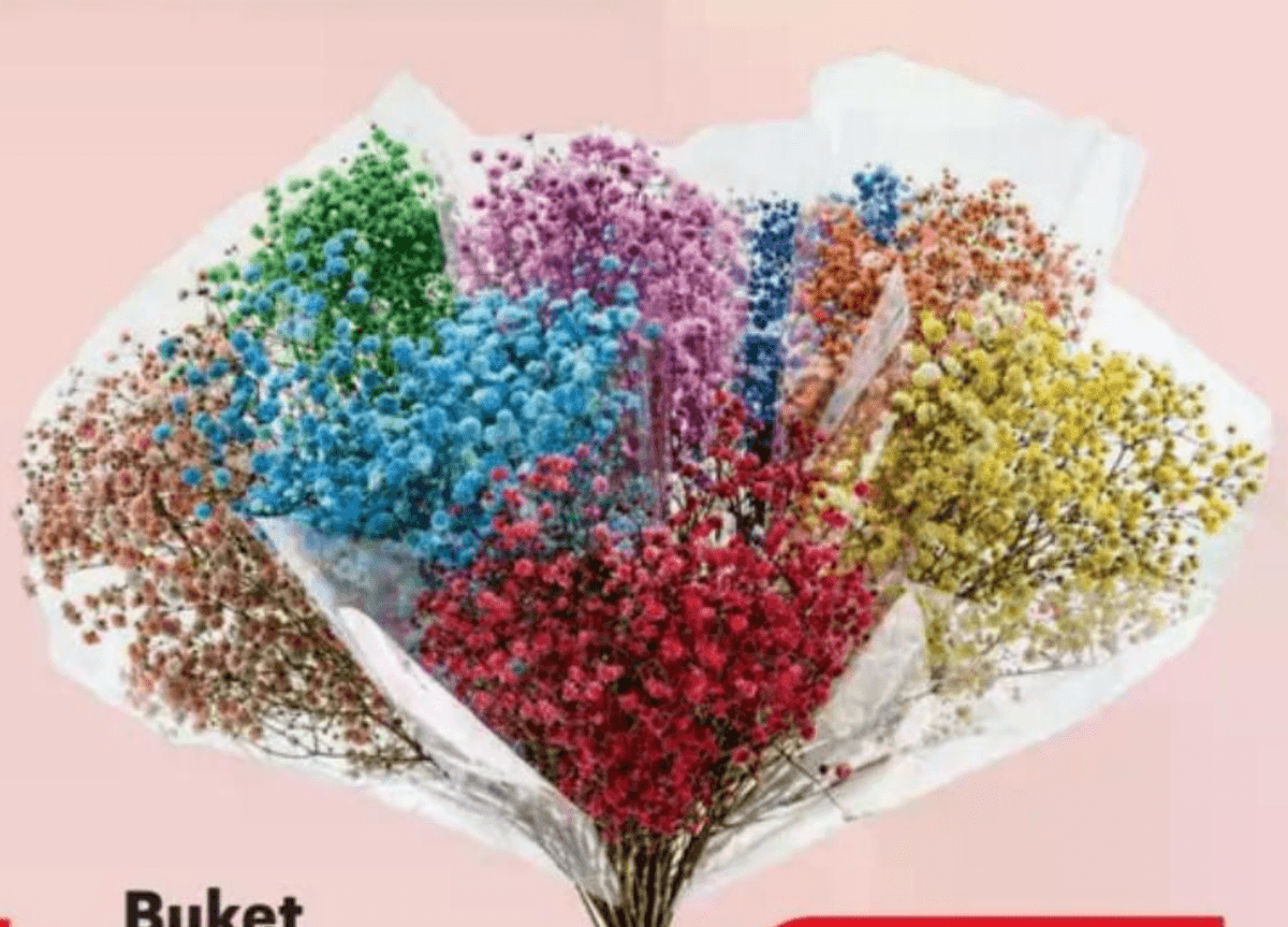 Buket gipsofila 3 komada - Akcija u trgovini Plodine