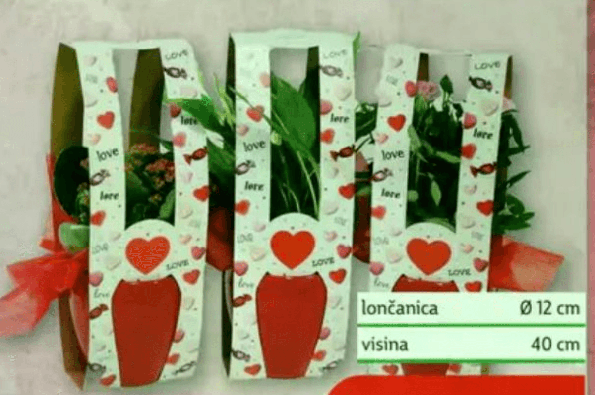 Cvijetni Love Mix - Akcija u trgovini Plodine