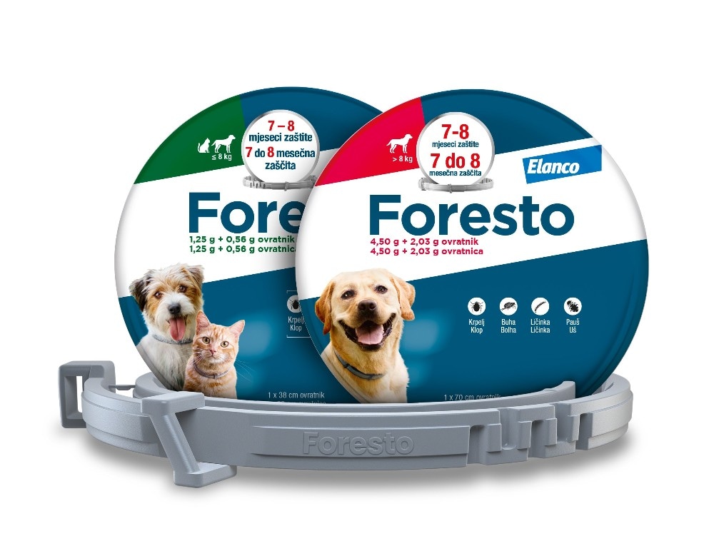 Foresto 38 cm - Akcija u trgovini Zoo City