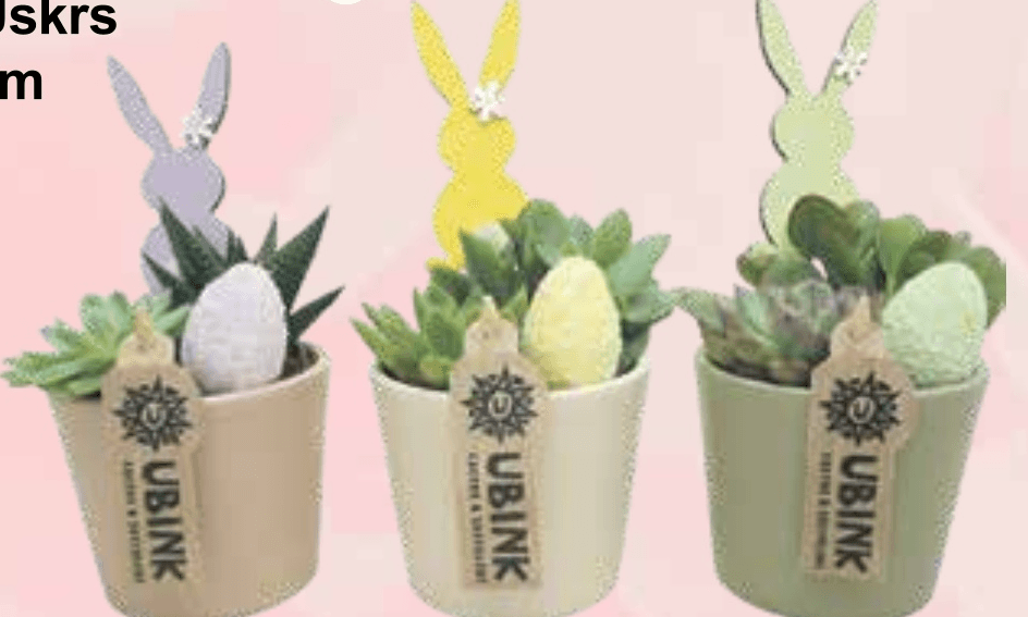 Aranžman Uskrs u tegli UBINK - Akcija u trgovini KTC