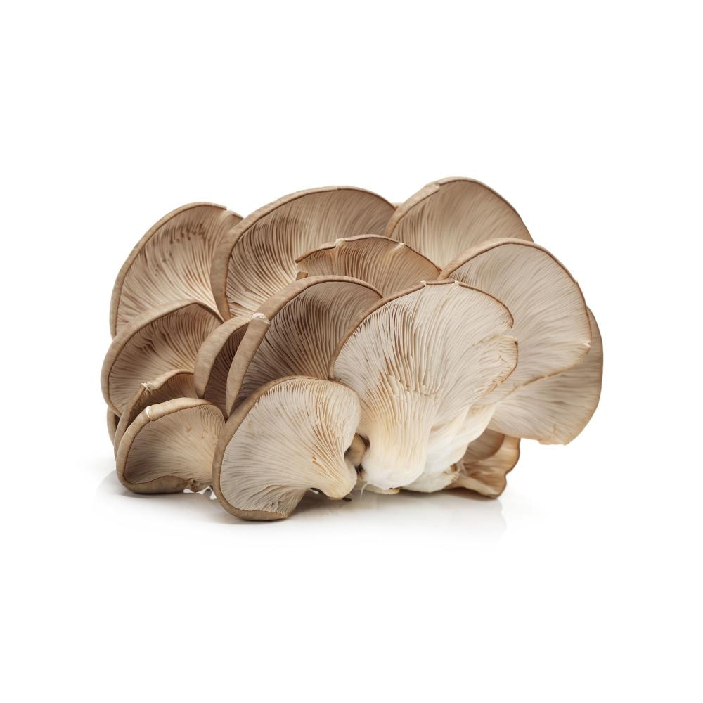 Bukovače 250 g - Akcija u trgovini Boso