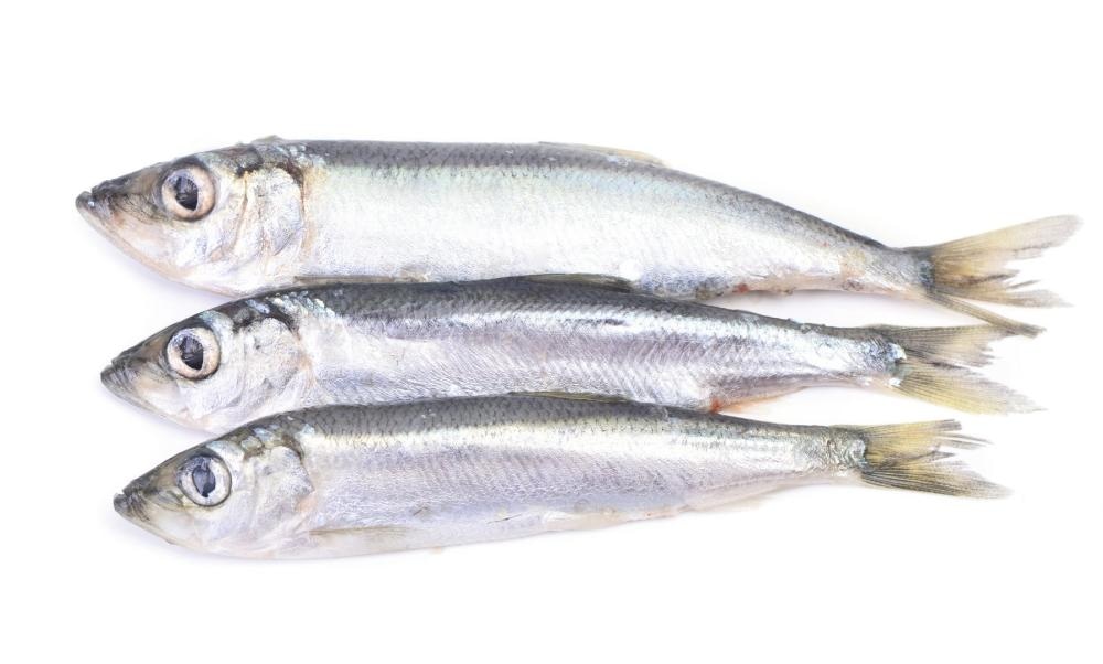 Papalina 300 g - Akcija u trgovini Kaufland