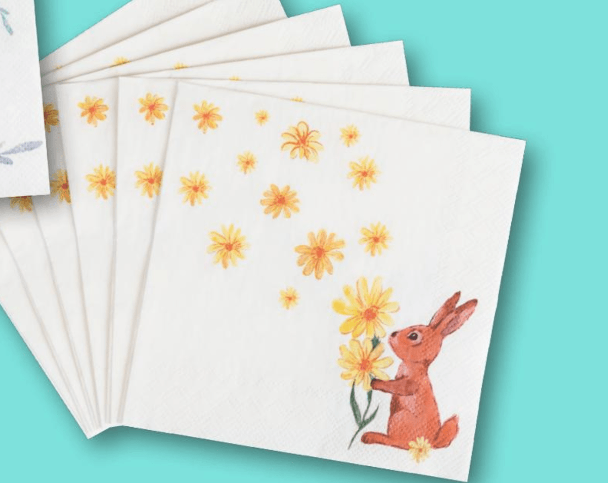 Salvete 18 kom - Akcija u trgovini Kik