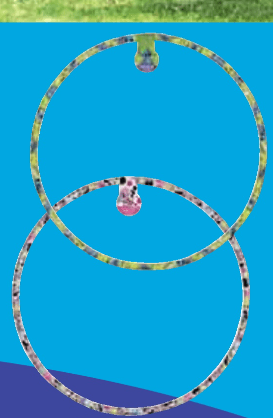 John Hula hop - Akcija u trgovini Lidl