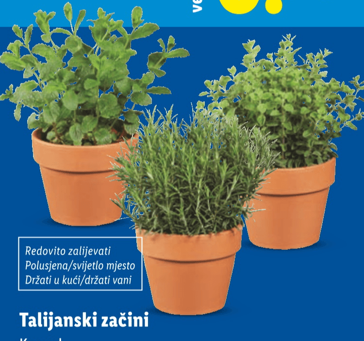 Talijanski začini Komad - Akcija u trgovini Lidl