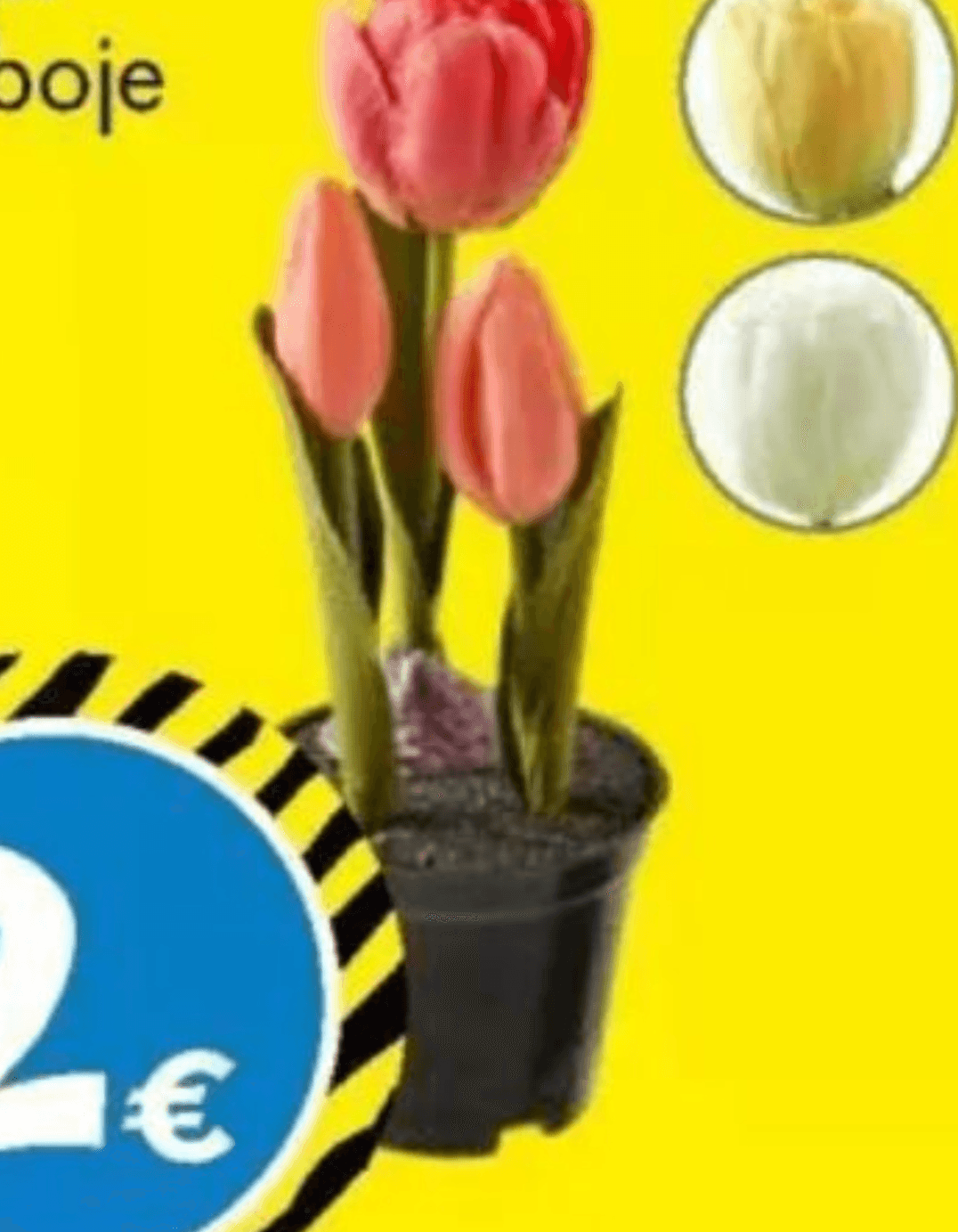 Umjetno cvijeće u tegli - Akcija u trgovini Tedi