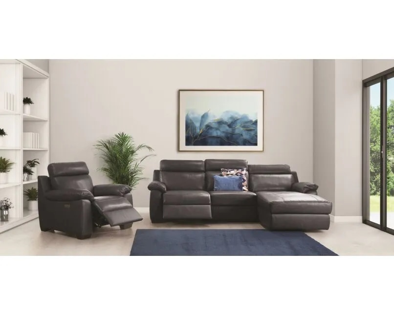 Kožna fotelja MILLES - Akcija u trgovini Harvey Norman