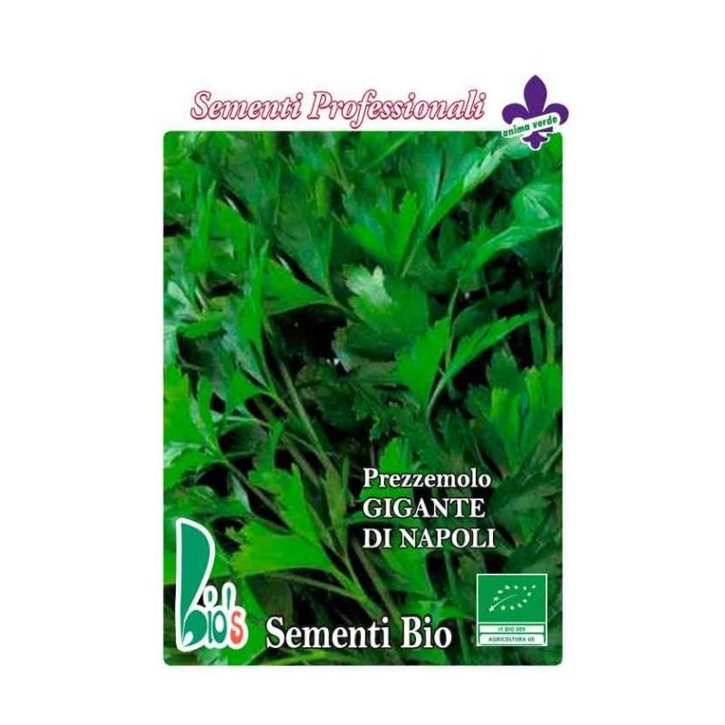 Peršin 'Gigante di Napoli' Volmary - Akcija u trgovini Bauhaus