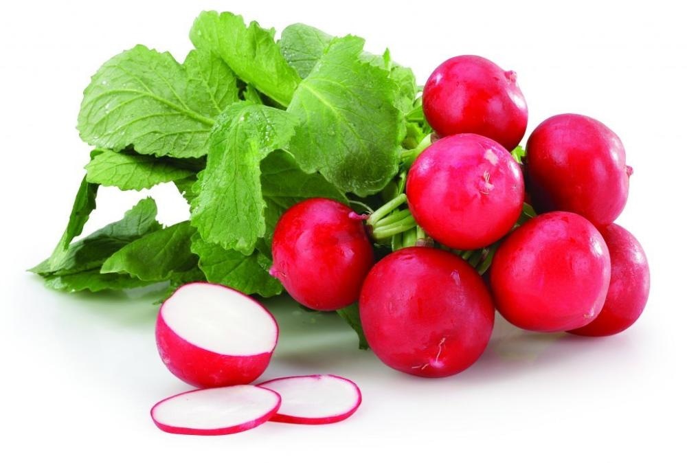 Rotkvica 1 kom - Akcija u trgovini Ribola