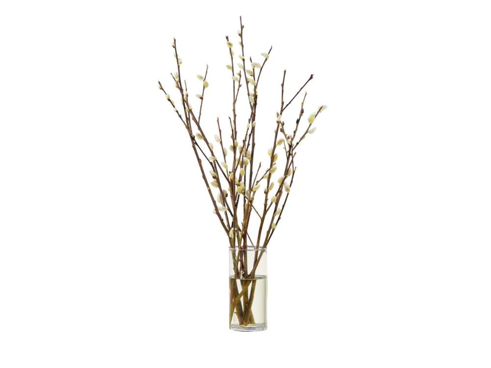 Proljetna grana cica mace 10 komada - Akcija u trgovini Plodine