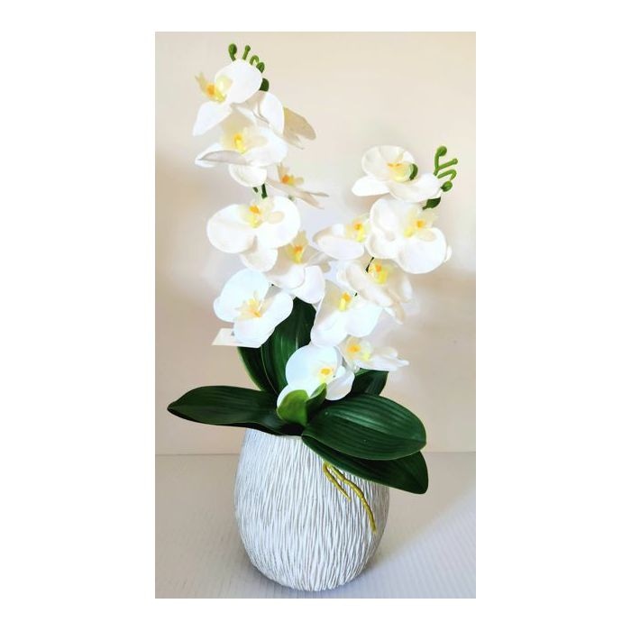Orhideja u cementnoj posudi bijela - Akcija u trgovini KTC