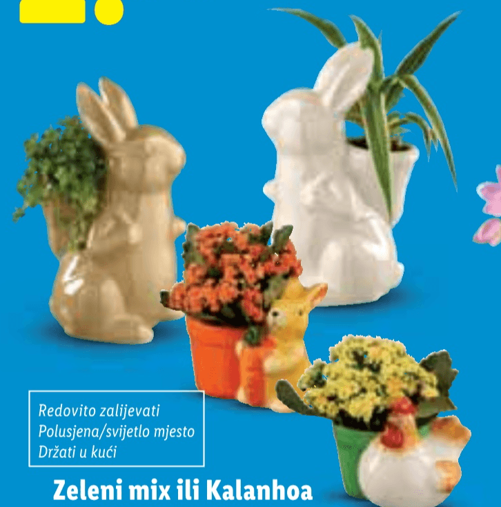 Zeleni mix ili Kalanhoa Komad - Akcija u trgovini Lidl