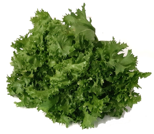 Salata endivija - Akcija u trgovini KTC