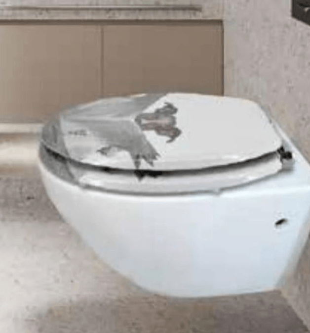 Izdvojene WC sjedalice stil - Akcija u trgovini Pevex