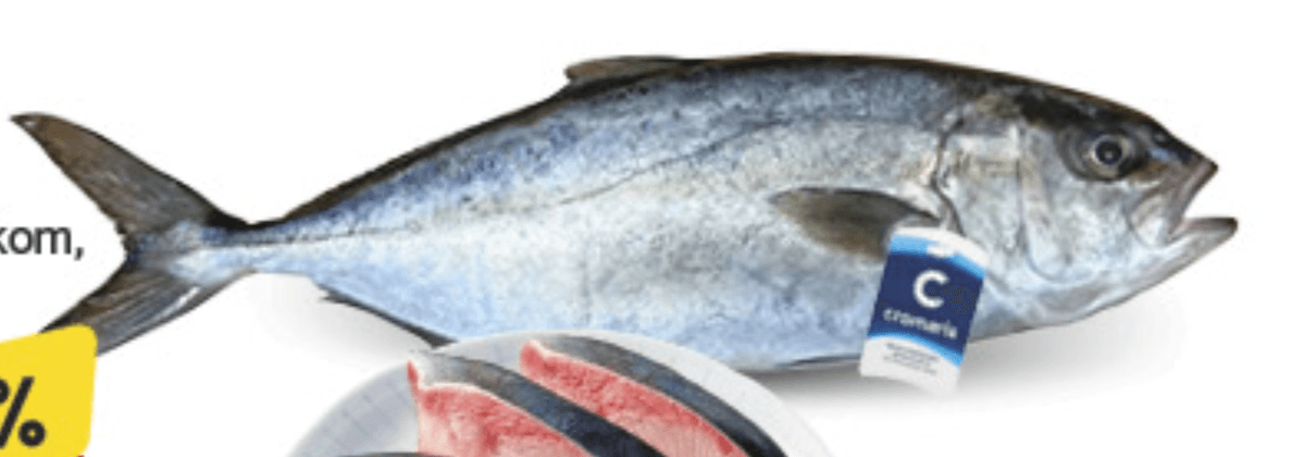 Gof 800-2500g/kom, 1kg - Akcija u trgovini Konzum