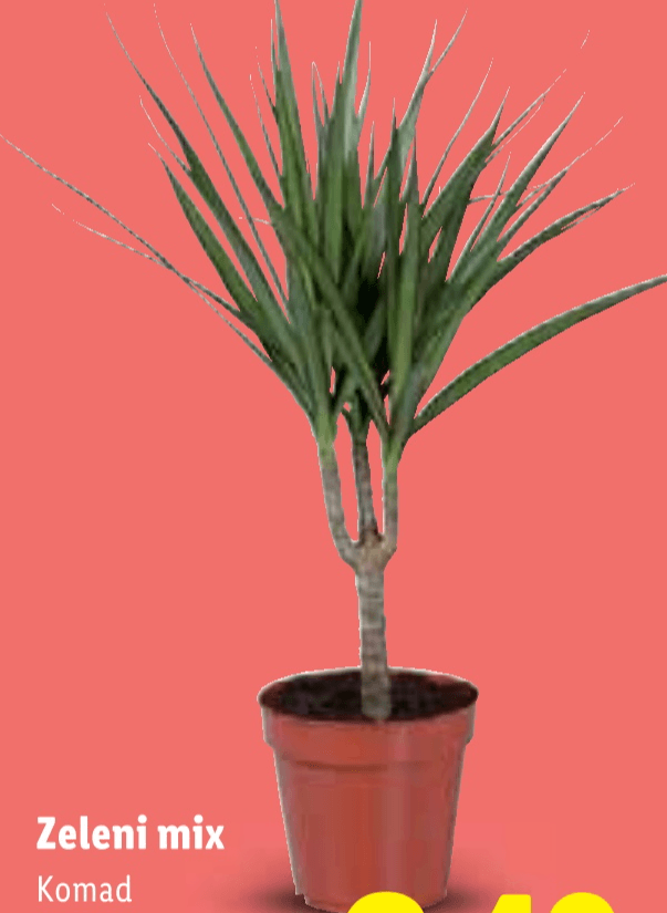 Zeleni mix - Akcija u trgovini Lidl