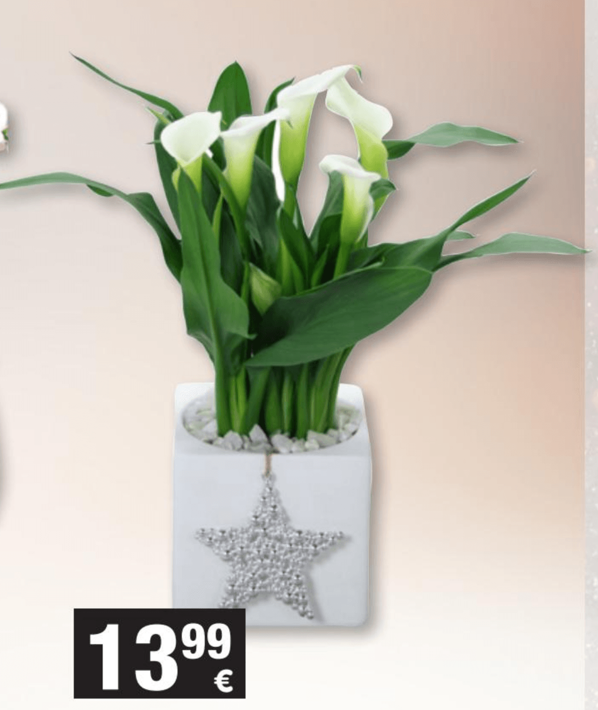 Kala Xmas - Akcija u trgovini Interspar