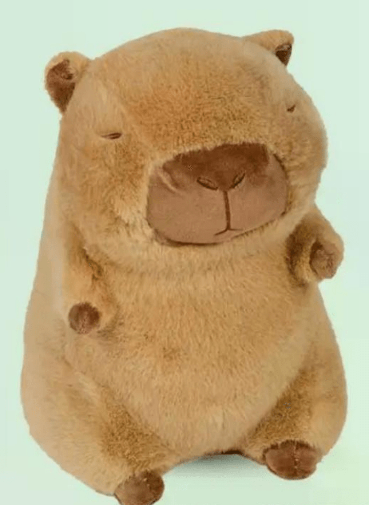 Plišana igračka kapibara - Akcija u trgovini Plodine