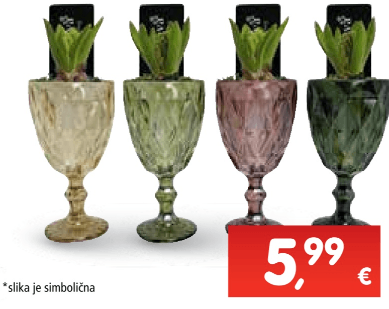 Zumbul 1 kom - Akcija u trgovini Interspar