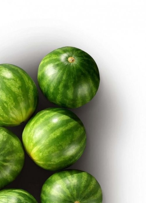 Bio mini lubenica 1 kg - Akcija u trgovini Plodine