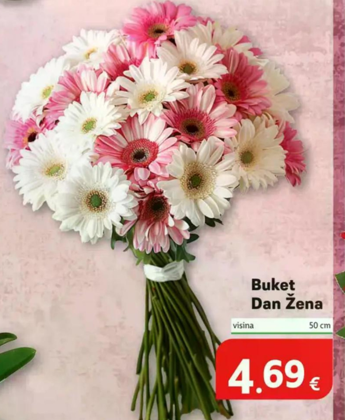 Buket Dan Žena visina 50 cm - Akcija u trgovini Plodine