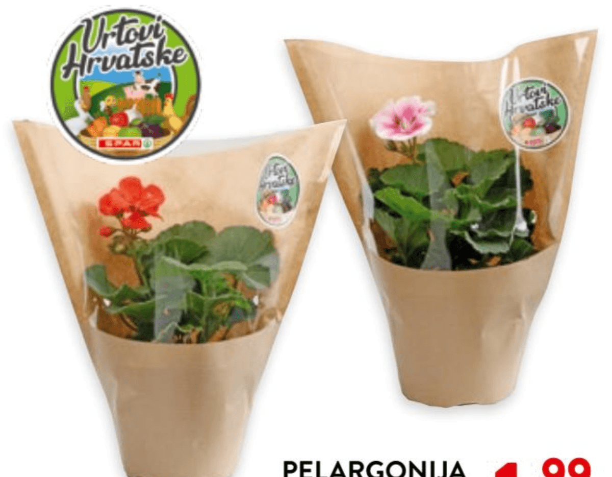 Pelargonija Vrtovi Hrvatske 1 kom - Akcija u trgovini Interspar