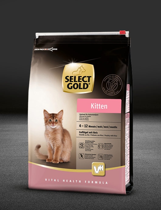 Select Gold Kitten 2,5 kg - Akcija u trgovini Zoo City