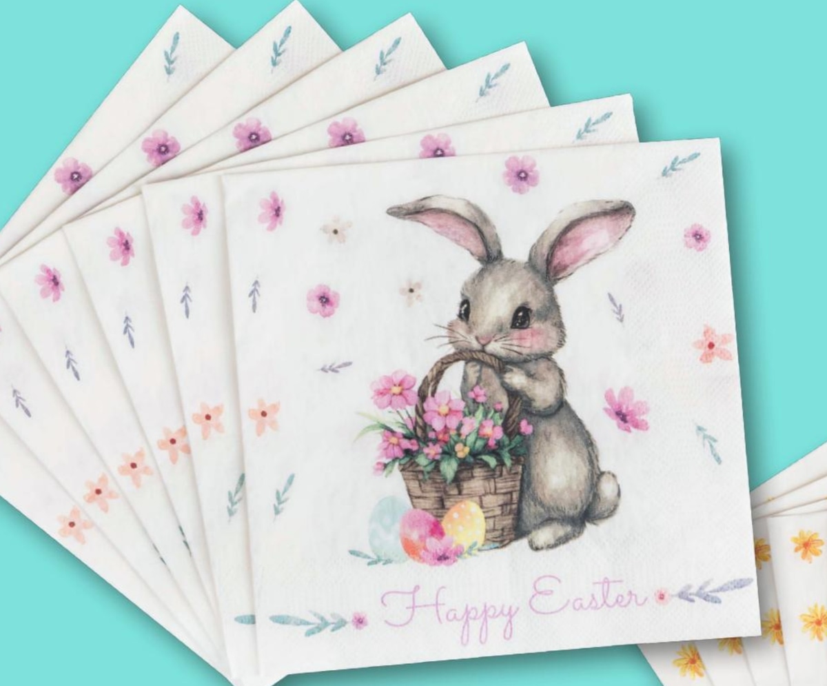 Salvete 18 kom - Akcija u trgovini Kik