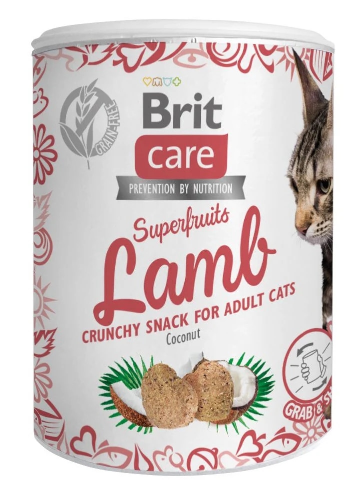 Brit Care Superfruits hrskava poslastica 100g - Akcija u trgovini Pet Centar