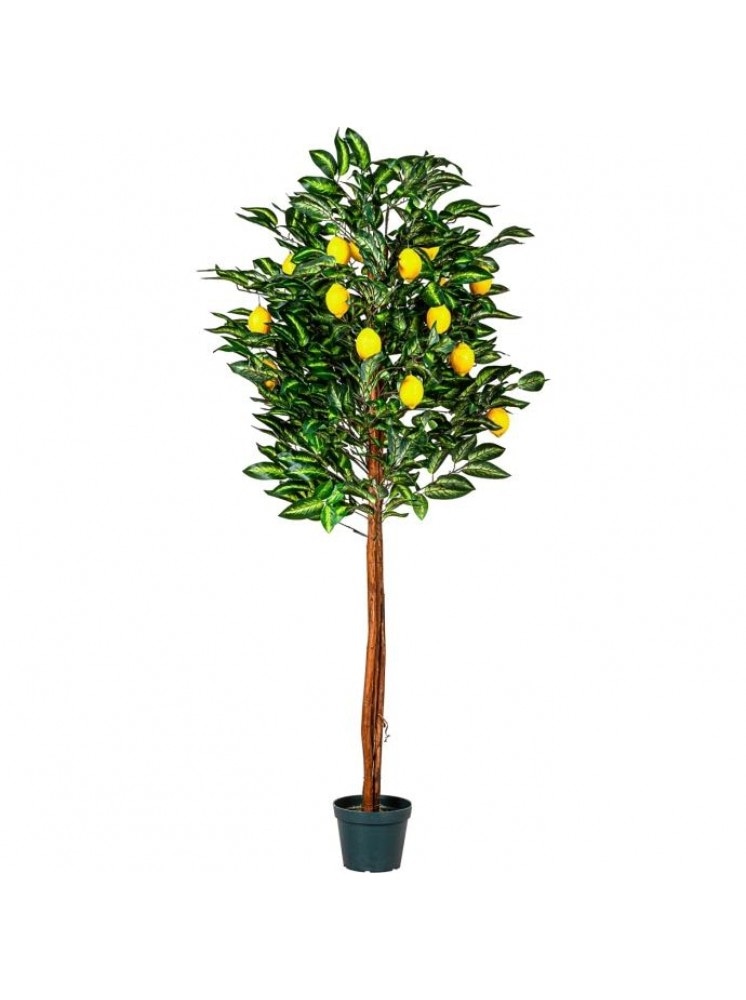Umjetno dekorativno drvo naranča ili limun visina 58 cm - Akcija u trgovini Plodine