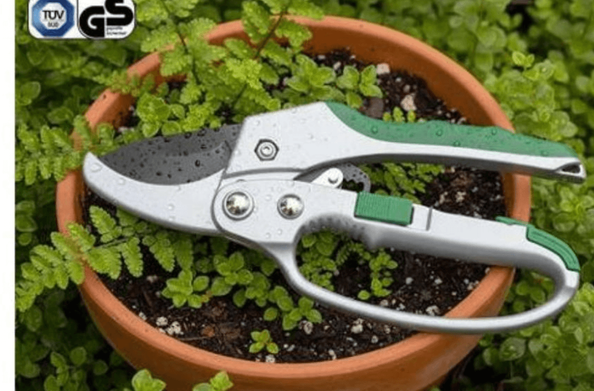 Škare za rezidbu - Akcija u trgovini Eurospin