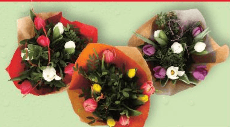 Tulipani buket sa zelenilom 35 cm - Akcija u trgovini Kaufland