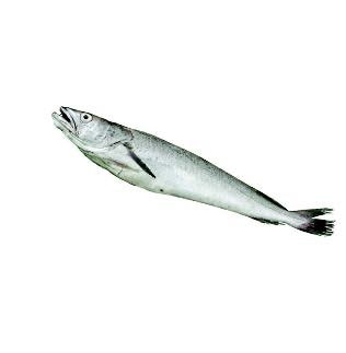 Oslić 1 kg - Akcija u trgovini Interspar