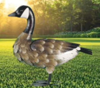 Guska 38 x 36 x 16 cm - Akcija u trgovini Grama