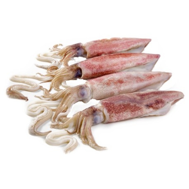 Lignja Patagonica 500 g - Akcija u trgovini Eurospin