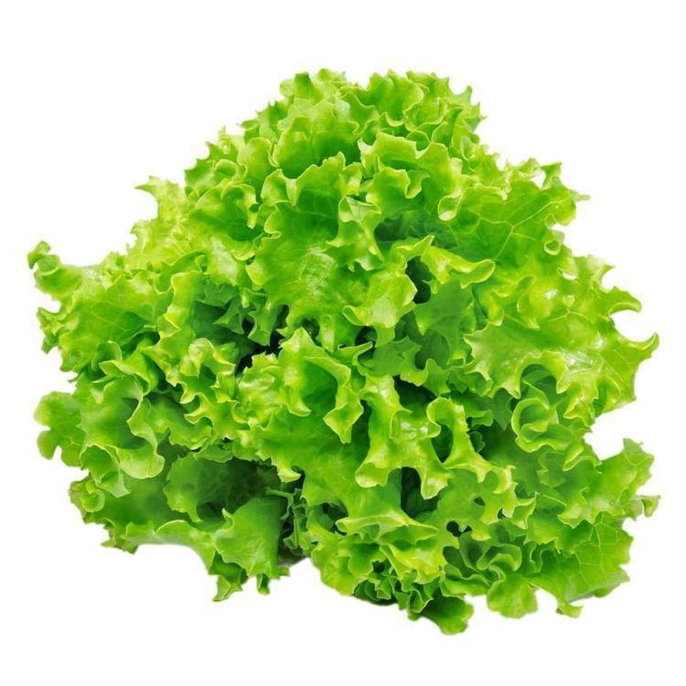 Salata Kristal - Akcija u trgovini Djelo