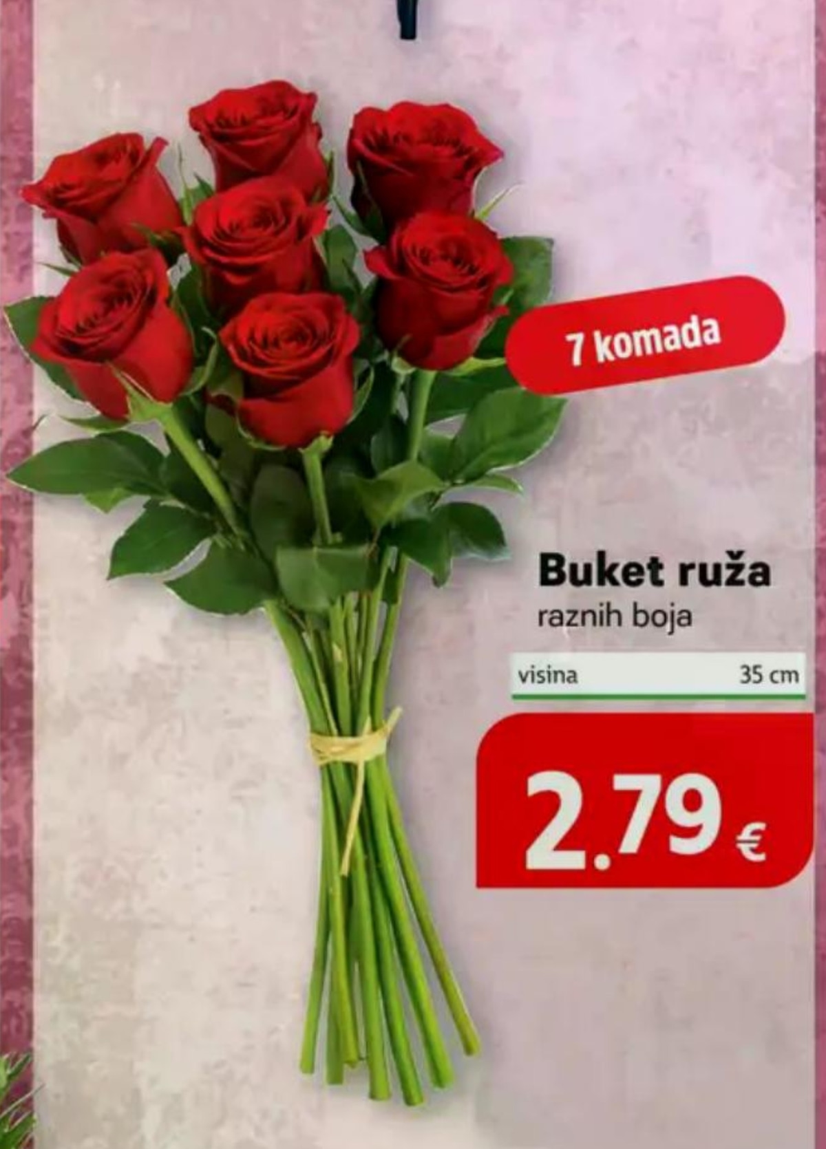 Buket ruža 7 komada, visina 35 cm - Akcija u trgovini Plodine