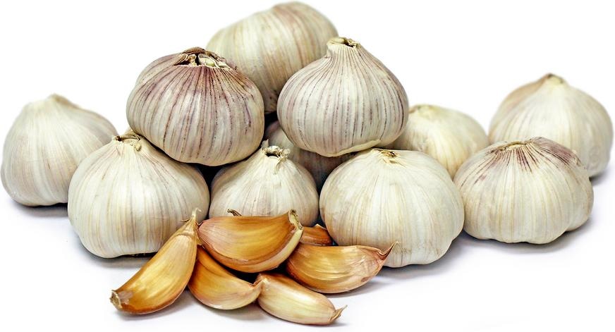Češnjak domaći Akcija u trgovini KTC