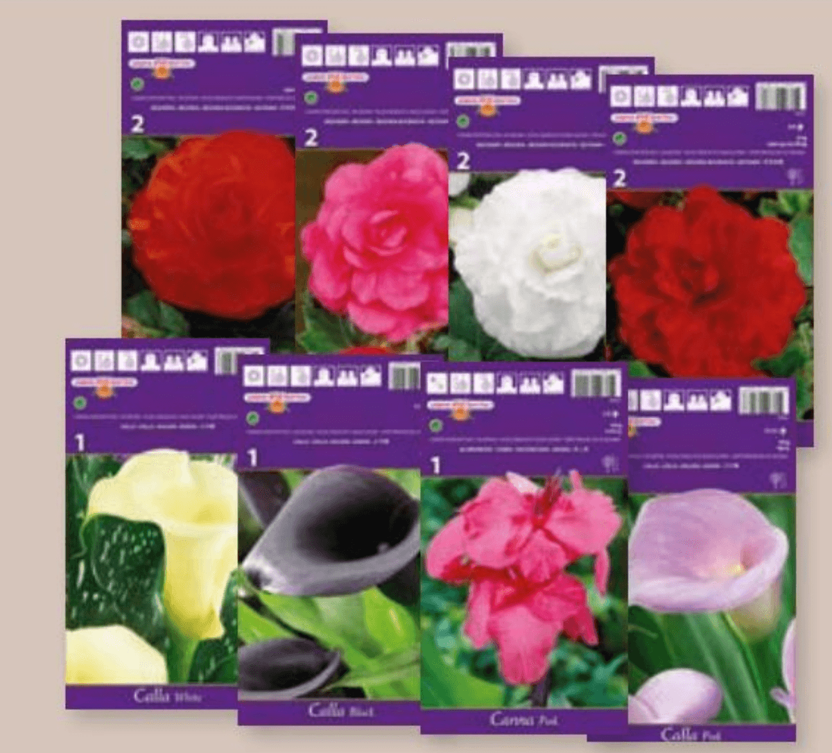 Lukovice cvijeća 1 kom - Akcija u trgovini Spar